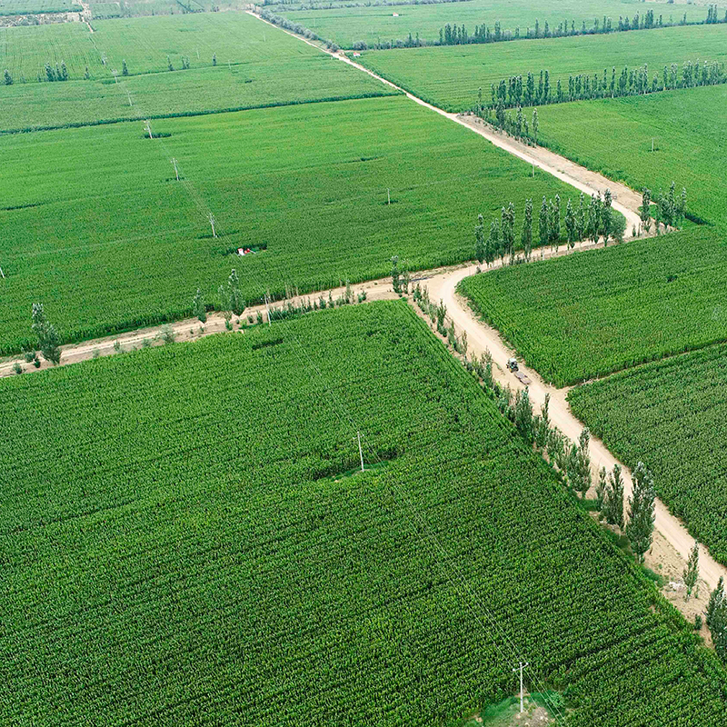 要種好地必看：農(nóng)業(yè)種植技術(shù)知識(shí)和技巧大全
