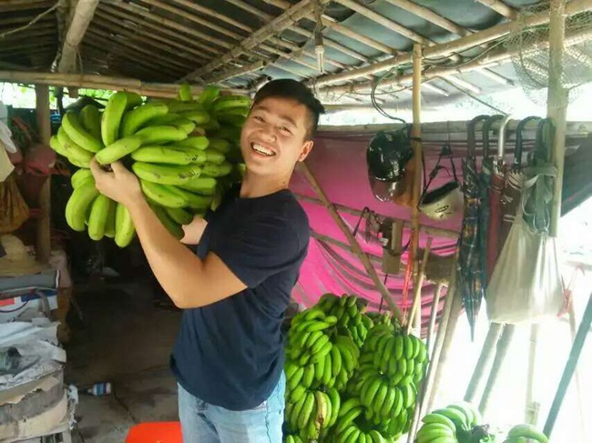 我們的肥料效果看得見?。。?></a> <p><a href=