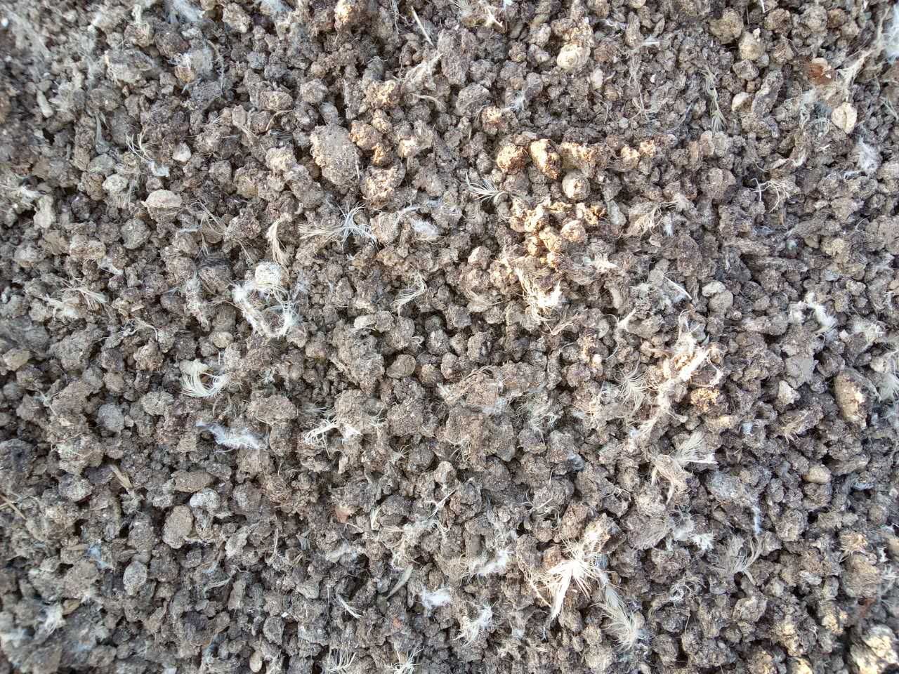 哇，原來干雞糞是這樣使用的